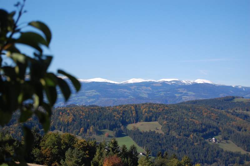 dsc_1075.jpg